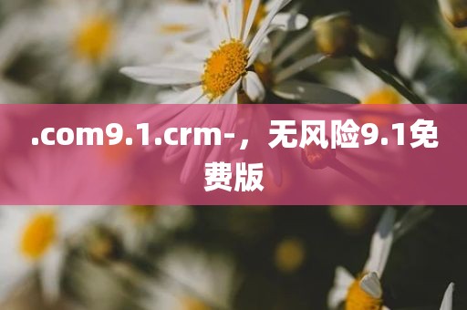.com9.1.crm-，无风险9.1免费版