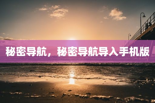 秘密导航，秘密导航导入手机版