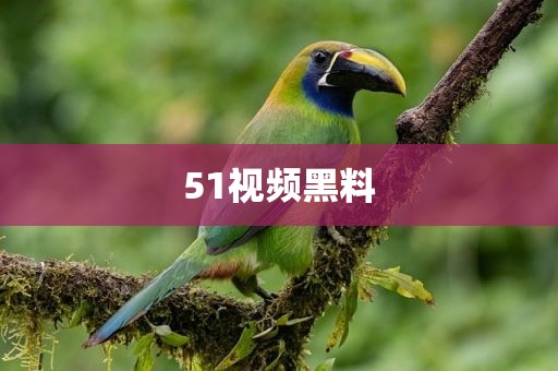 51视频黑料