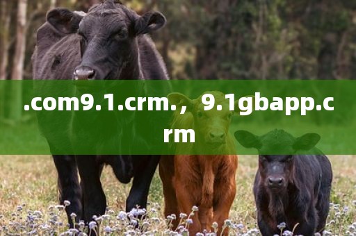 .com9.1.crm.，9.1gbapp.crm