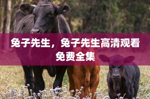 兔子先生，兔子先生高清观看免费全集