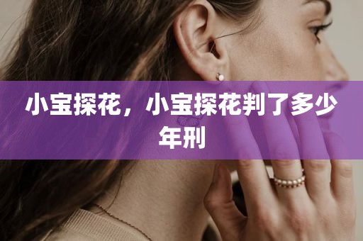 小宝探花，小宝探花判了多少年刑