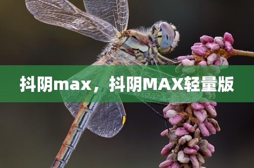 抖阴max，抖阴MAX轻量版