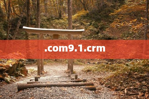 .com9.1.crm