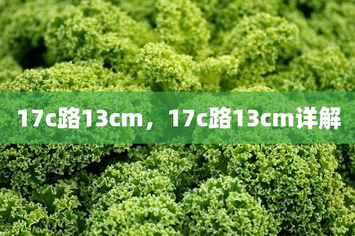 17c路13cm，17c路13cm详解