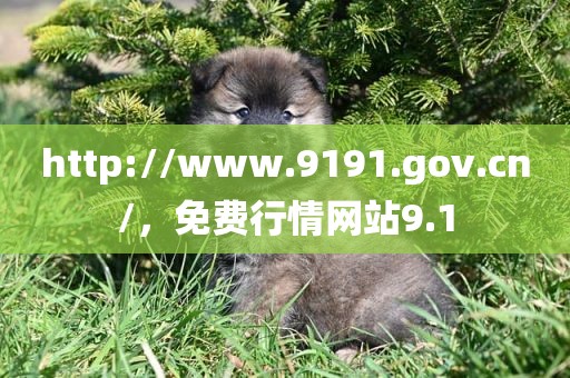 http://www.9191.gov.cn/，免费行情网站9.1