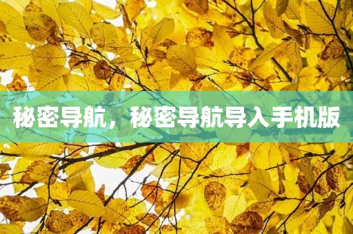 秘密导航，秘密导航导入手机版