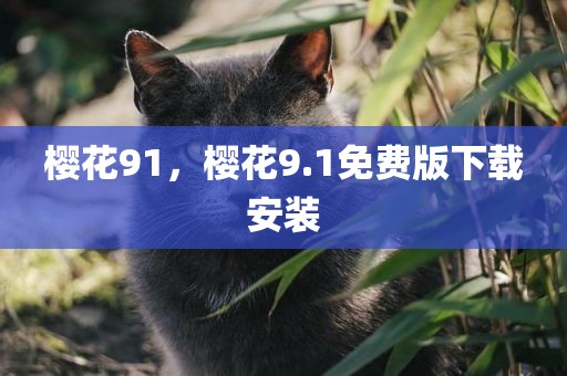 樱花91，樱花9.1免费版下载安装