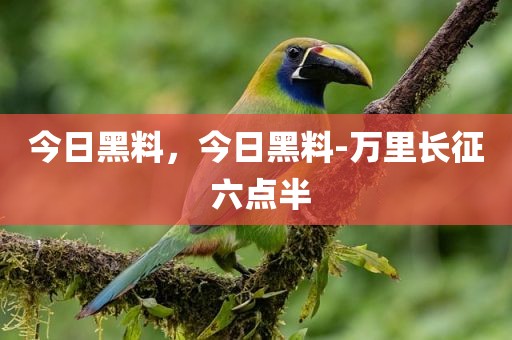 今日黑料，今日黑料-万里长征 六点半