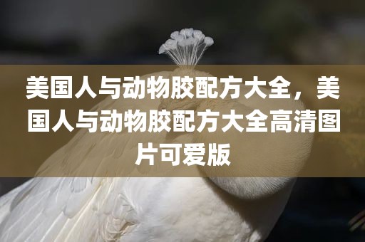 美国人与动物胶配方大全，美国人与动物胶配方大全高清图片可爱版