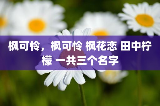 枫可怜，枫可怜 枫花恋 田中柠檬 一共三个名字