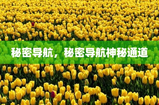 秘密导航，秘密导航神秘通道