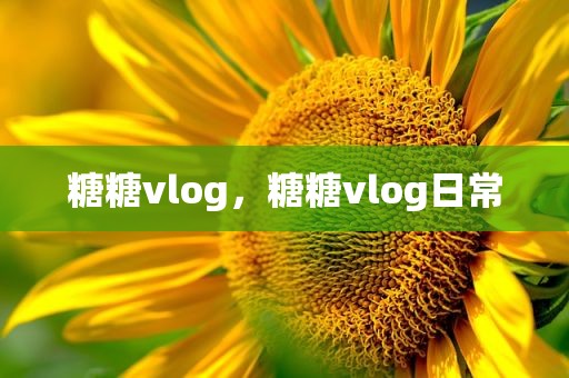 糖糖vlog，糖糖vlog日常