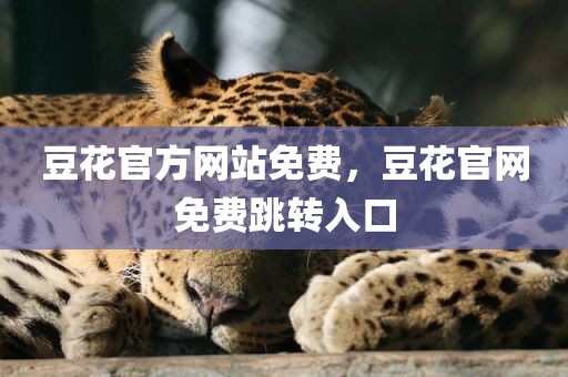 豆花官方网站免费，豆花官网免费跳转入口