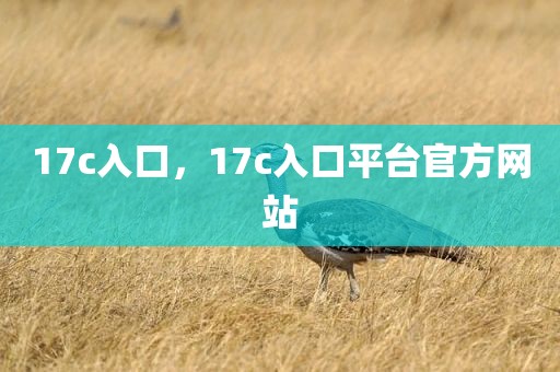 17c入口，17c入口平台官方网站