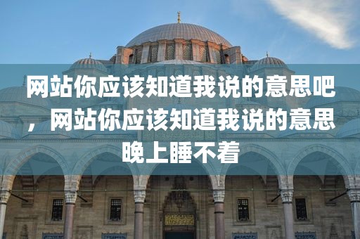 网站你应该知道我说的意思吧，网站你应该知道我说的意思晚上睡不着