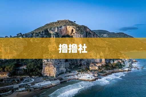 撸撸社
