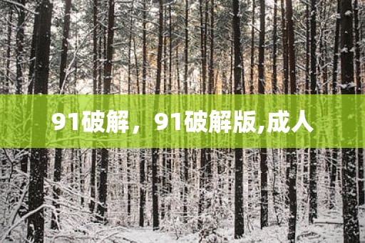 91破解，91破解版,成人