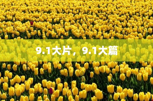 9.1大片，9.1大篇