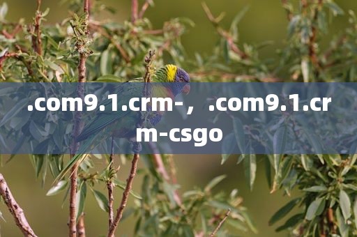 .com9.1.crm-，.com9.1.crm-csgo