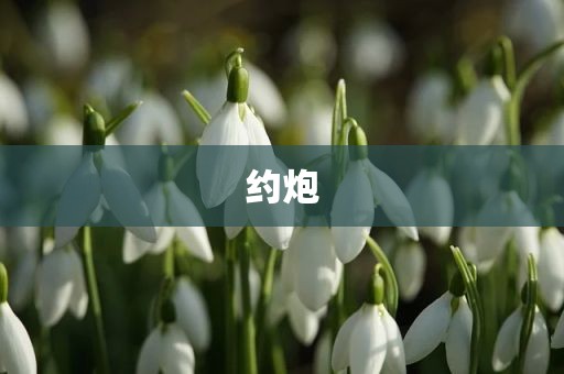 约炮