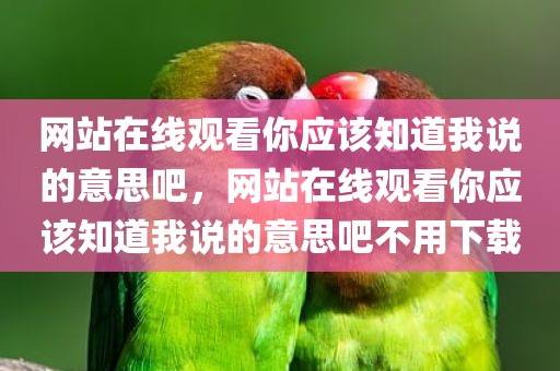 网站在线观看你应该知道我说的意思吧，网站在线观看你应该知道我说的意思吧不用下载