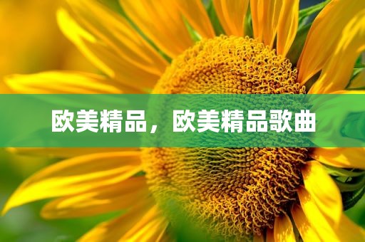 欧美精品，欧美精品歌曲