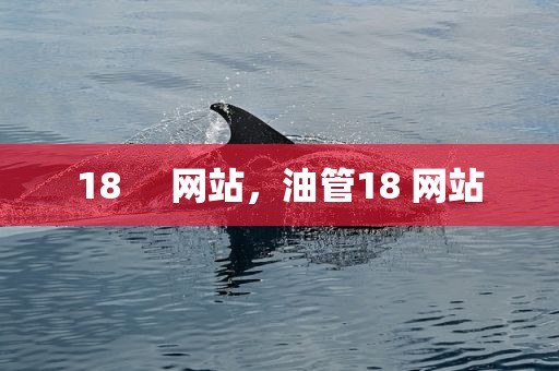 18     网站，油管18 网站