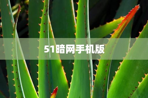 51暗网手机版