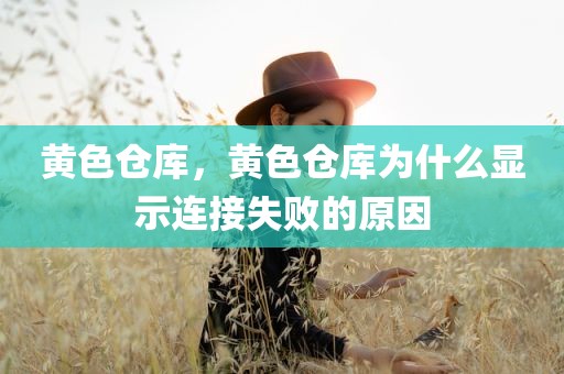 黄色仓库，黄色仓库为什么显示连接失败的原因