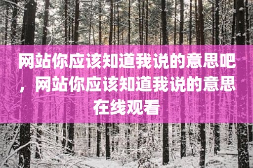 网站你应该知道我说的意思吧，网站你应该知道我说的意思在线观看