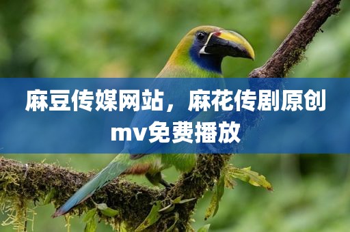 麻豆传媒网站，麻花传剧原创mv免费播放
