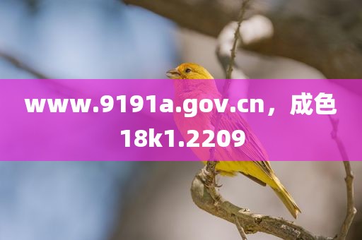 www.9191a.gov.cn，成色18k1.2209