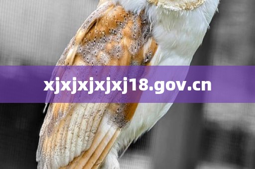 xjxjxjxjxj18.gov.cn