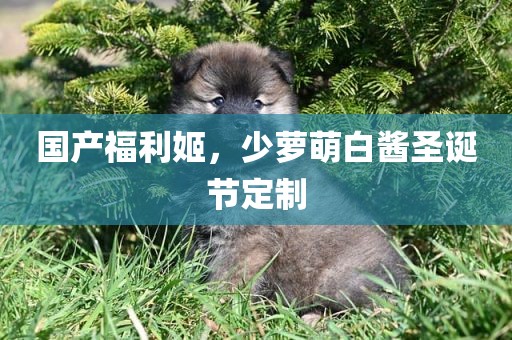 国产福利姬，少萝萌白酱圣诞节定制