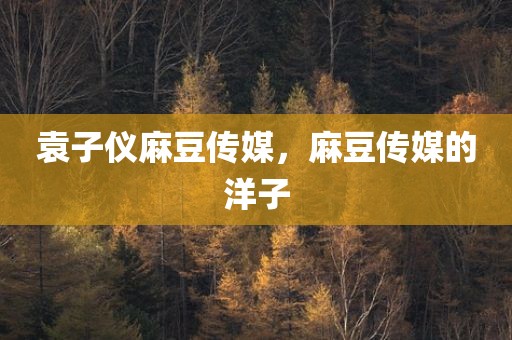 袁子仪麻豆传媒，麻豆传媒的洋子