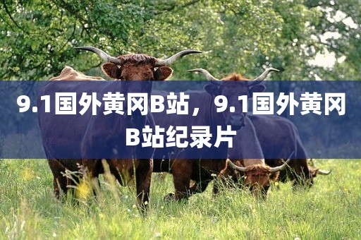 9.1国外黄冈B站，9.1国外黄冈B站纪录片