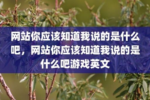 网站你应该知道我说的是什么吧，网站你应该知道我说的是什么吧游戏英文