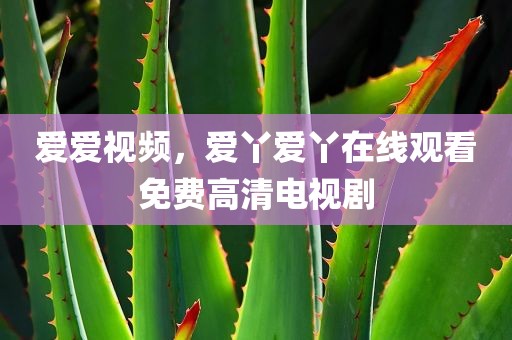 爱爱视频，爱丫爱丫在线观看免费高清电视剧