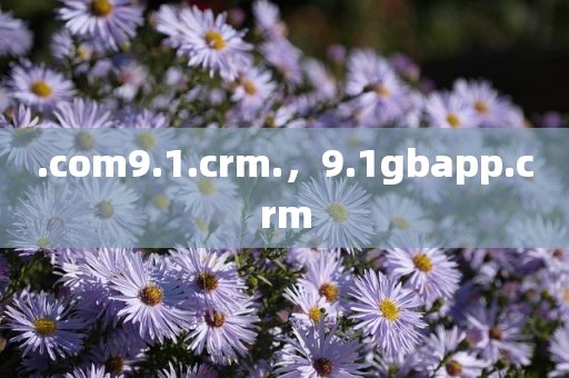 .com9.1.crm.，9.1gbapp.crm