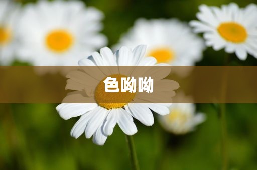 色呦呦