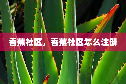 香蕉社区，香蕉社区怎么注册