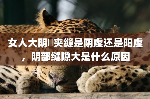 女人大阴脣夹缝是阴虚还是阳虚，阴部缝隙大是什么原因