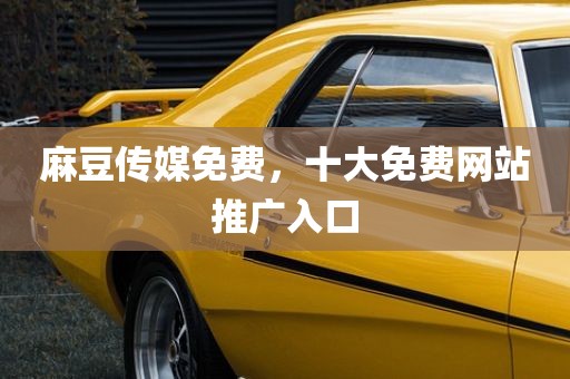 麻豆传媒免费，十大免费网站推广入口