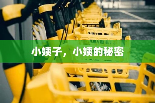 小姨子，小姨的秘密