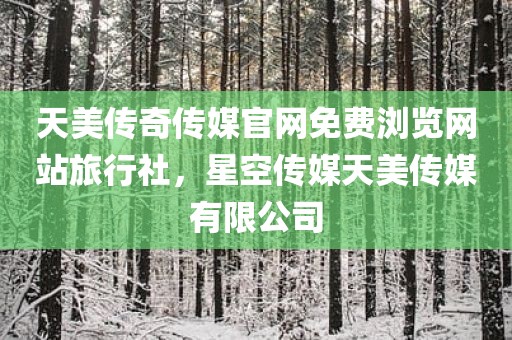 天美传奇传媒官网免费浏览网站旅行社，星空传媒天美传媒有限公司