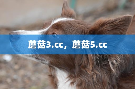 蘑菇3.㏄，蘑菇5.㏄