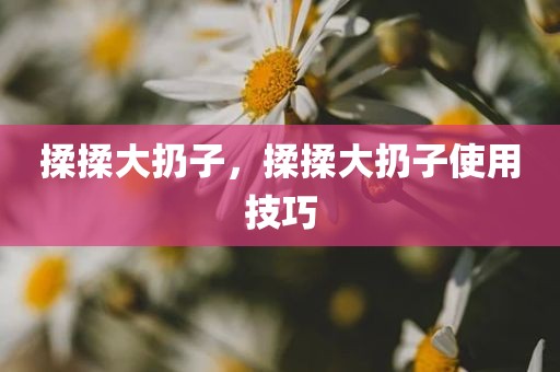 揉揉大扔子，揉揉大扔子使用技巧