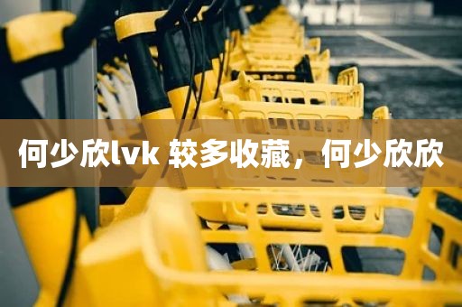 何少欣lvk 较多收藏，何少欣欣
