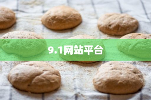 9.1网站平台